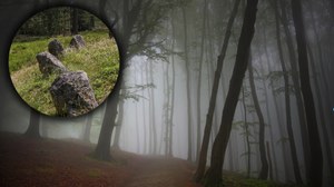 Tajemnice kociewskich lasów. Do czego służyły starożytne kamienne kręgi?