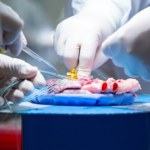 Wykład otwarty Tajemnice ludzkich narządów. Jakie organy są nam niepotrzebne?