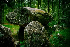 Tajemnice "prehistorycznej Polski". Co kryje ziemia na terenie naszego kraju?