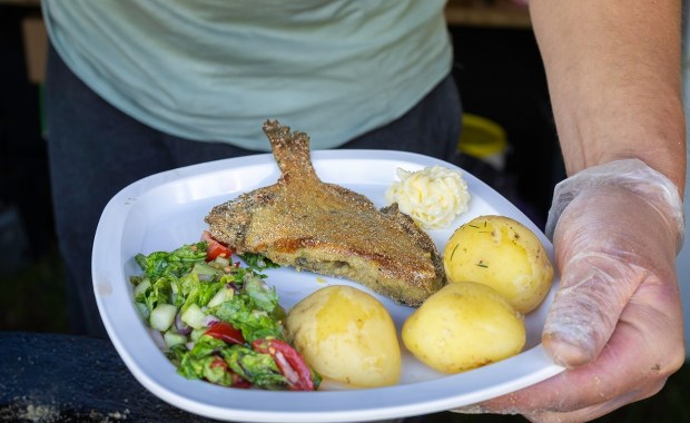 Tajemnicza choroba nad Bałtykiem. GIS ostrzega, a lokalny biznes liczy straty