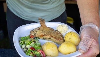 Tajemnicza choroba nad Bałtykiem. GIS ostrzega, a lokalny biznes liczy straty