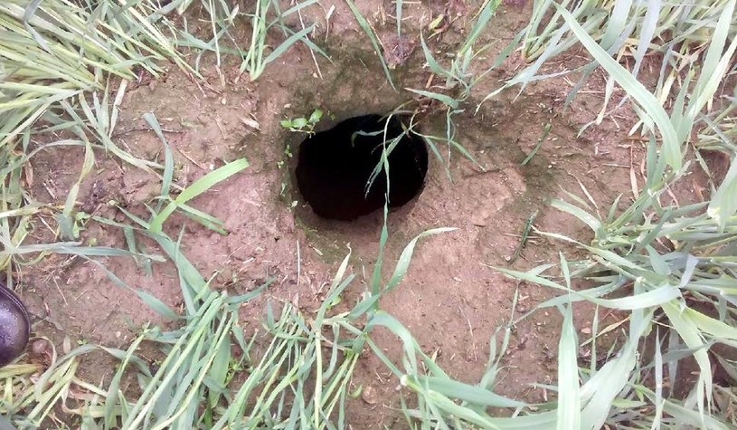 Tajemnicza dziura  w ziemi o głębokości kilkudziesięciu metrów w pobliżu wsi Domaradz, lipiec 2017 /archiwum prywatne