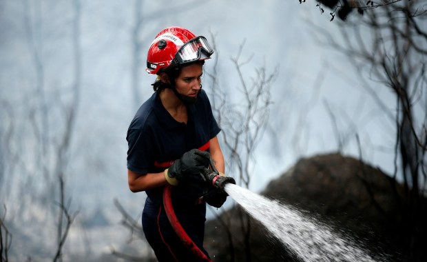 Tajemnicza fala pożarów lasów na Korsyce