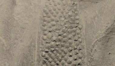 Tajemnicza konstrukcja Inków od prawie 100 lat pozostaje zagadką. Archeolodzy znaleźli rozwiązanie?