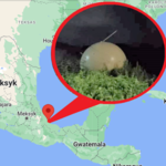 Tajemnicza kula znaleziona w Meksyku. Spadła z kosmosu, zabrało ją wojsko