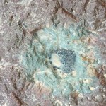 Tajemnicza skała sprzed 470 mln lat