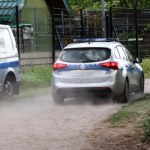 Tajemnicza śmierć noworodka. Co się stało na Podkarpaciu?