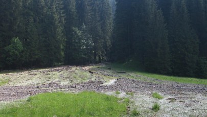 Tajemnicza śmierć w Dolinie Roztoki: Śledczy wytypowali zaginioną osobę 