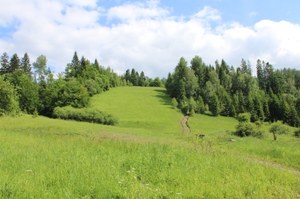 Tajemnicze miejsce w polskich górach. Przysypane ziemią. Poznamy prawdę?