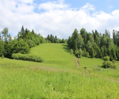 Tajemnicze miejsce w polskich górach. Przysypane ziemią. Poznamy prawdę?