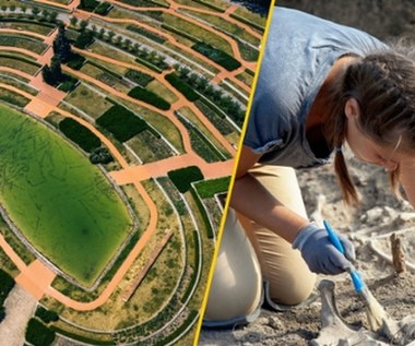 Tajemnicze szczątki w centrum Poznania. Mroczna historia Parku Cytadela