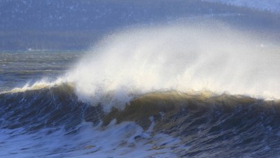 Tajemnicze tsunami na Alasce. Woda porwała rzeczy turystom