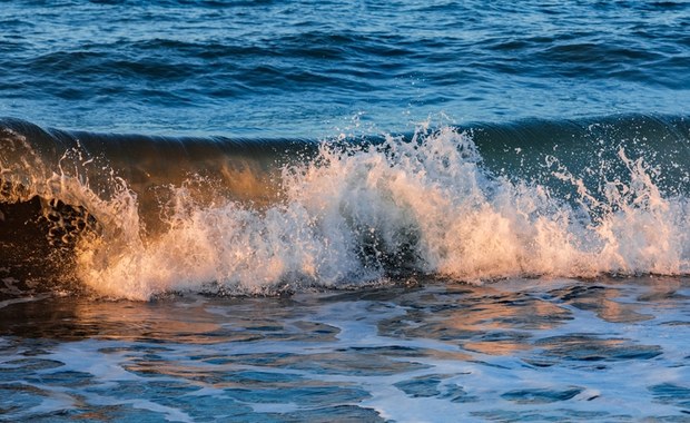 Tajemnicze tsunami na Pacyfiku. Japończycy byli zaskoczeni