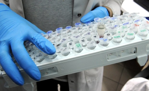 Tajemnicze zabójstwo w Katowicach. Śledczy czekają na wyniki badań DNA