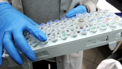 Tajemnicze zabójstwo w Katowicach. Śledczy czekają na wyniki badań DNA