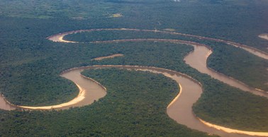 Tajemnicze zaginięcie dziennikarza w amazońskiej dżungli