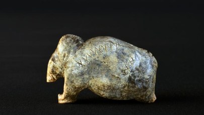 Tajemnicze znaki sprzed 40 tysięcy lat. To mogło być... pismo