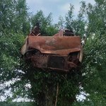 Tajemnicze znalezisko. Spalony wrak na czubku drzewa. Jak się tam znalazł?