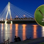 Tajemnicze zwierzęta latają nocą po Warszawie. Co się dzieje?