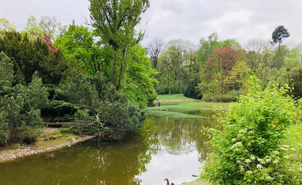 Tajemniczy badacz w łódzkim parku. Dlaczego brodzi w wodzie?