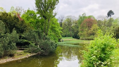 Tajemniczy badacz w łódzkim parku. Dlaczego brodzi w wodzie?