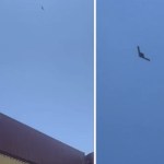 Tajemniczy dron stealth na zdjęciach. Czy to legendarny RQ-180?