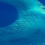 Tajemniczy dźwięk z oceanicznych głębin