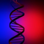 Tajemniczy kod zapisany w naszym DNA