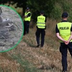 ​Tajemniczy obiekt na polu kukurydzy pod Łukowem. Mamy zdjęcie