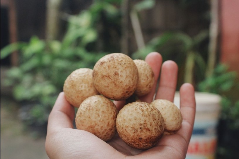 Tajemniczy owoc "oko smoka". Strażnik zgrabnej sylwetki i spokojnego snu
