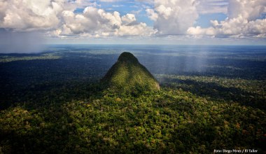 Tajemniczy piramidalny twór w środku dżungli. Wielka zagadka Amazonii