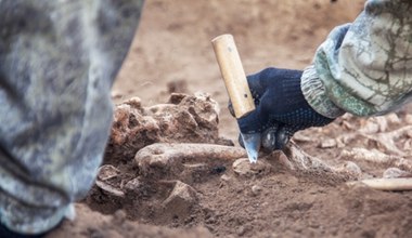 Tajemniczy pochówek sprzed 1200 lat. Ofiara dla nieznanego bóstwa?