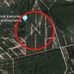 Tajemniczy znak w polskim lesie. Czegoś takiego nie ma na całym świecie