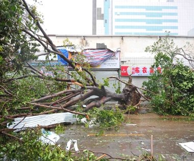 Tajfun Rammasun sieje zniszczenie. Wiatr osiągał w porywach do 200 km/h