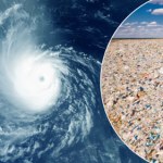 Tajfuny zbierają mikroplastik z oceanów i zrzucają go na ląd