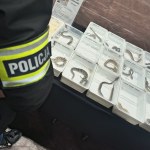 Tak chcieli oszukać klientów. W sprzedaży pytony, kameleony i żółwie błotne