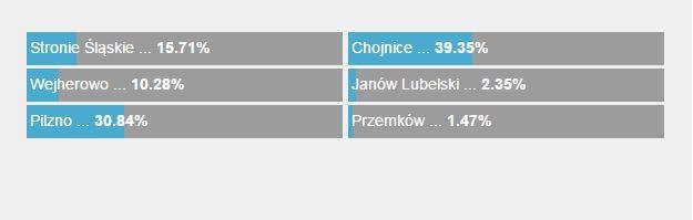 Tak głosowaliście na Chojnice! /RMF FM /Zrzut ekranu