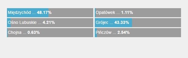 Tak głosowaliście na Twoje Miasto! /RMF FM