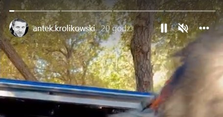 Tak Królikowski spędzał czas dzień przed rocznicą ślubu /www.instagram.com/antek.krolikowski /Instagram