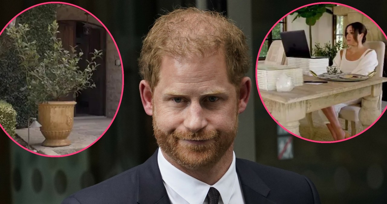 Tak mieszkają książę Harry i Meghan Markle /screeny z serialu "Heart of Invictus", Alberto Pezzali /East News