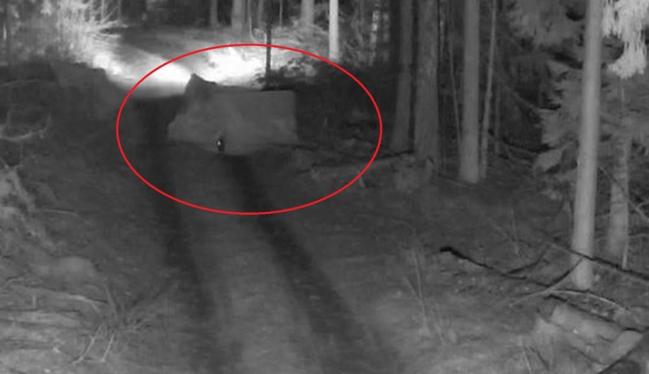 Tak migranci próbowali przekroczyć granicę /https://vsat.lrv.lt/ /Materiały prasowe