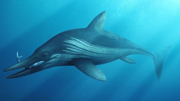 Tak mógł wyglądać Protoichthyosaurus prostaxalis /materiały prasowe