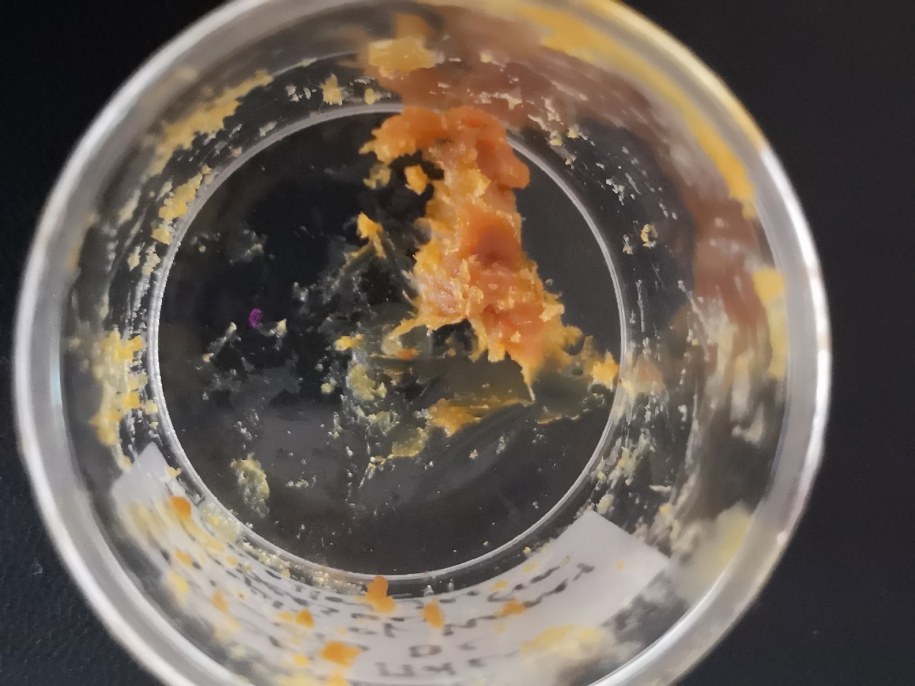 Tak najprawdopodopodobniej wygląda miód sprzed 2500 lat /Luciana da Costa Carvalho /Materiały prasowe