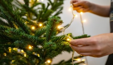 Tak naprawisz lampki choinkowe. Twoje drzewko zalśni nowym blaskiem