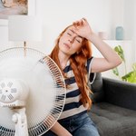 Tak ochłodzisz mieszkanie bez klimatyzacji. Wystarczy woda i trochę soli