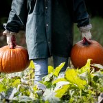 Tak Polacy pomagają rolnikom. Duże oszczędności, popularność rośnie