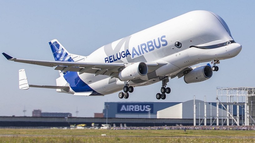 Tak prezentuje się Airbus BelugaXL w trakcie dziewiczego lotu /Geekweek