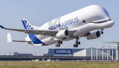 Tak prezentuje się Airbus BelugaXL w trakcie dziewiczego lotu