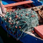 połowy Tak Rosja zdobywa pieniądze na wojnę z Ukrainą