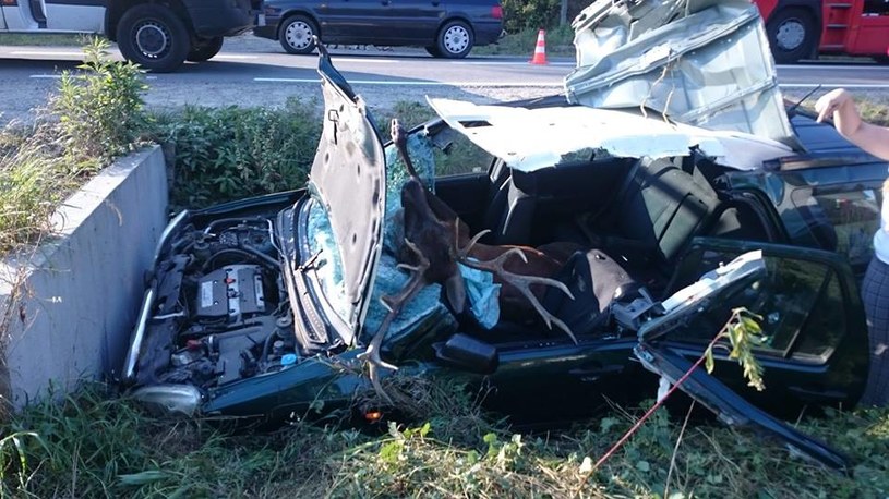Tak samochód wyglądał po wypadku / fot: OSP Olszyny /Informacja prasowa